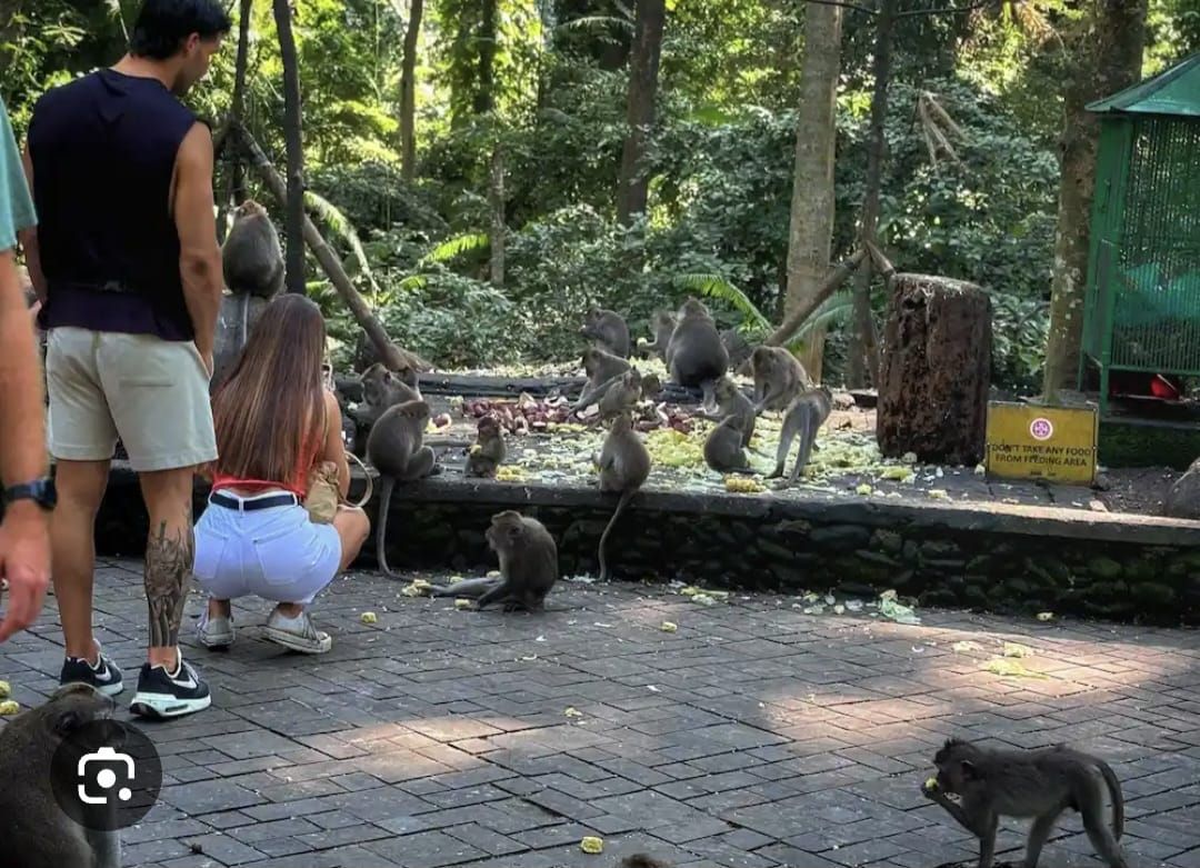 Ubud Nature Tour 2 photo 2