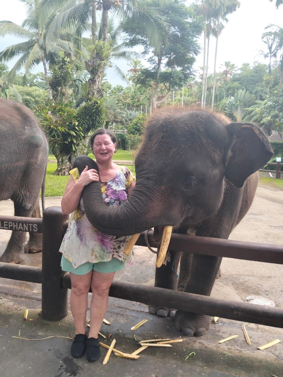Ubud Nature Tour 2 photo 3